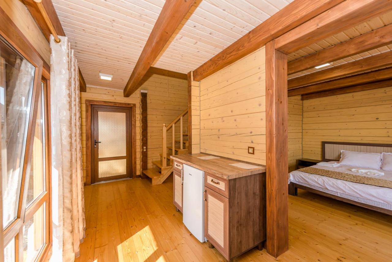 Пегас Hotel Zaliznyi Port Buitenkant foto